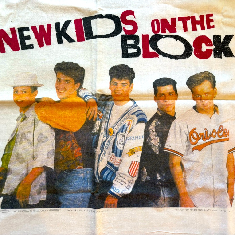 Vintage 1990 NKOTB Pillow Case